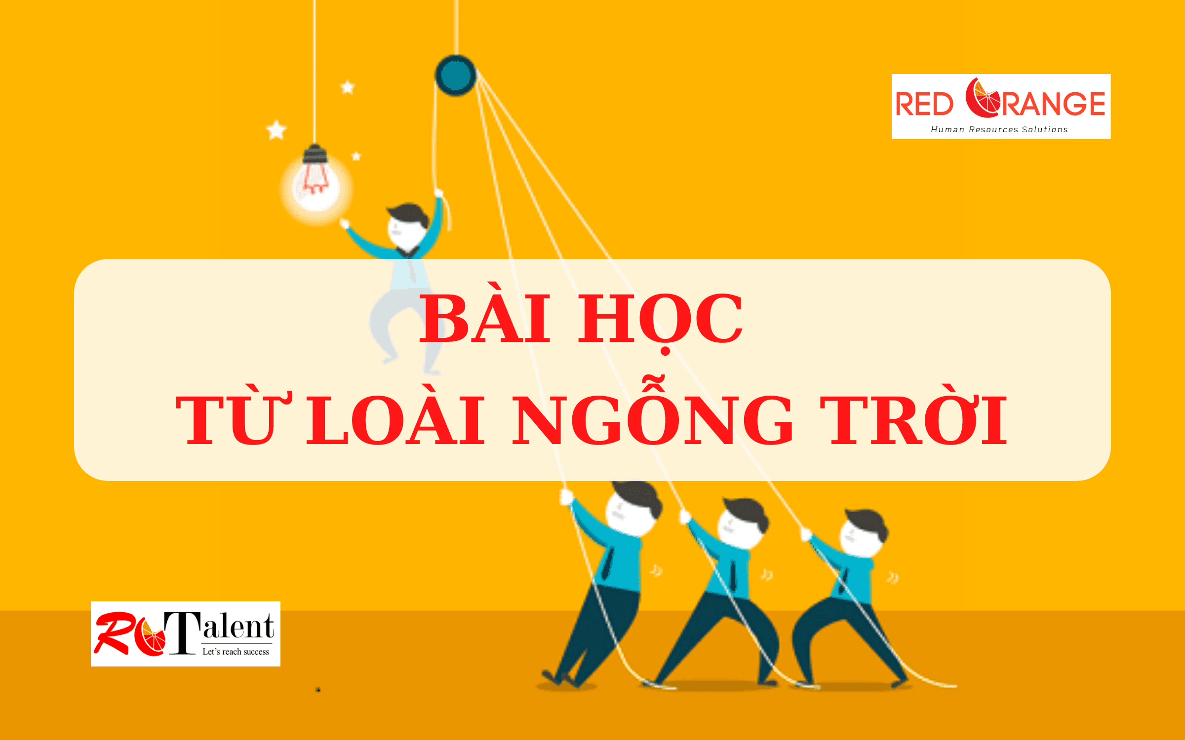 BÀI HỌC TỪ LOÀI NGỖNG TRỜI