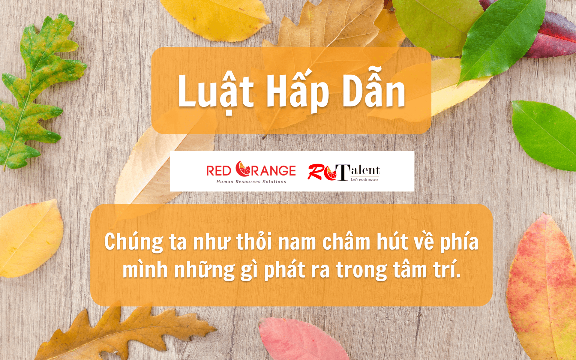 Luật Hấp Dẫn – “Chúng ta như thỏi nam châm hút về phía mình những gì phát ra trong tâm trí”.