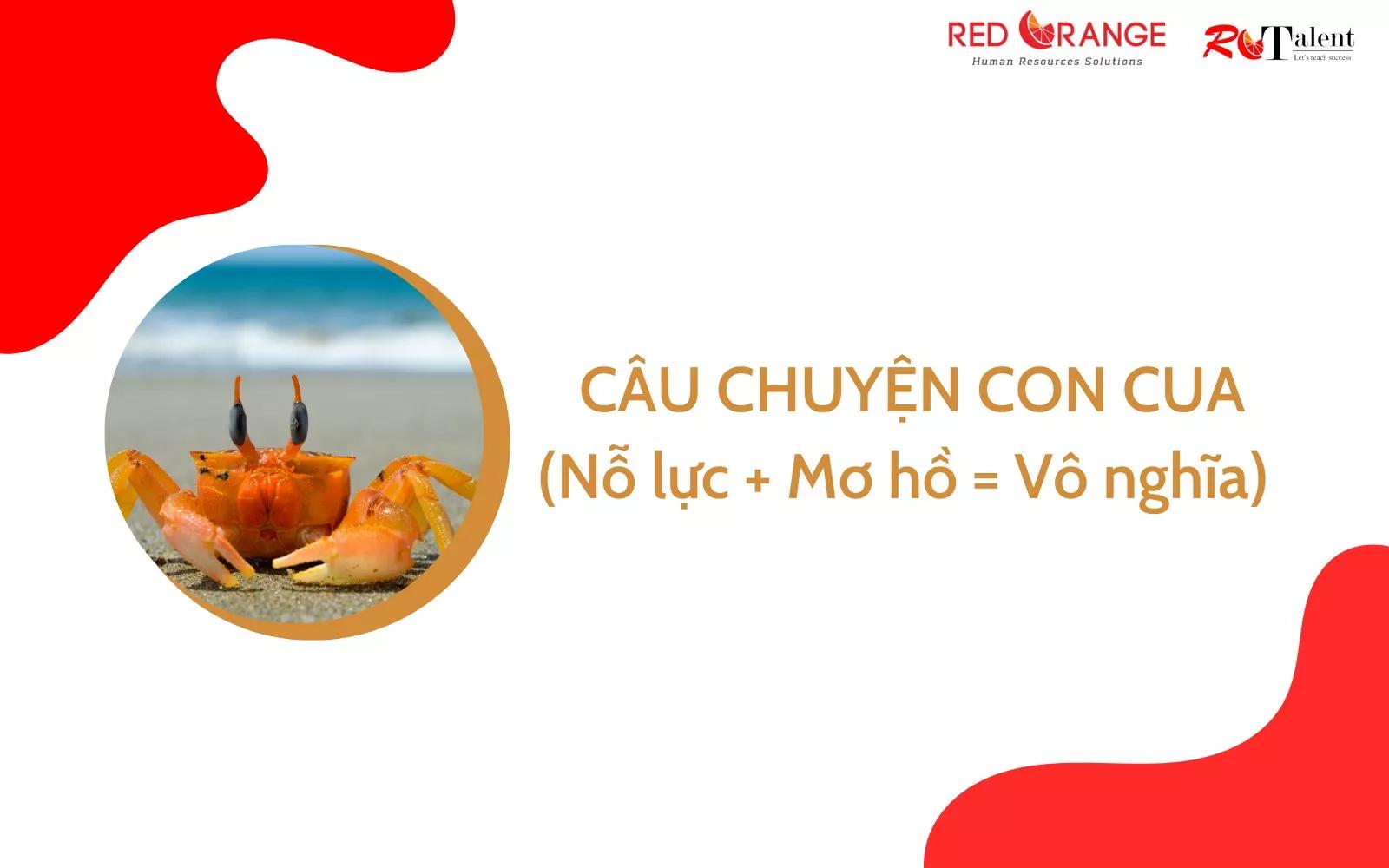 CÂU CHUYỆN CON CUA (Nỗ lực + mơ hồ = Vô Nghĩa)